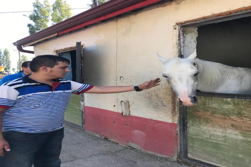 At Çiftliği Gezi